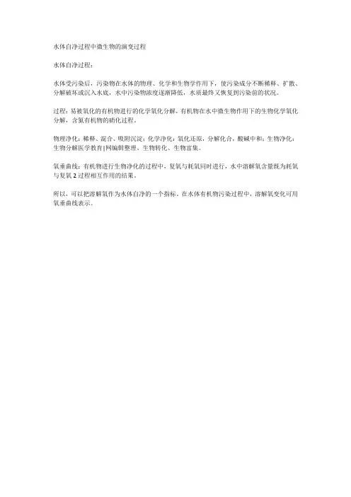 水体自净过程中微生物的演变过程