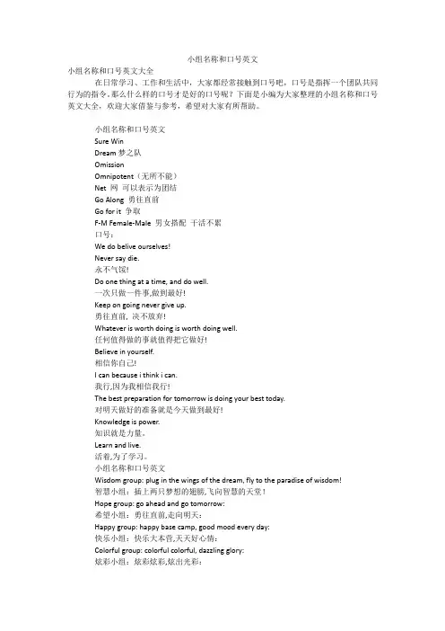 小组名称和口号英文
