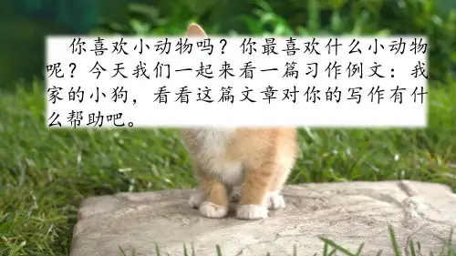 人教版三年级上册语文习作例文我家的小狗课件