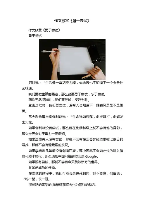 作文欣赏《勇于尝试》