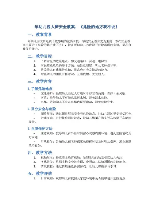 年幼儿园大班安全教案教案《危险的地方我不去》