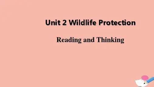 2020-2021新教材高中英语Unit2课件新人教版必修第二册 251122