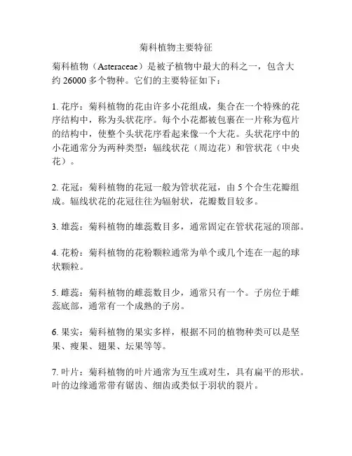 菊科植物主要特征