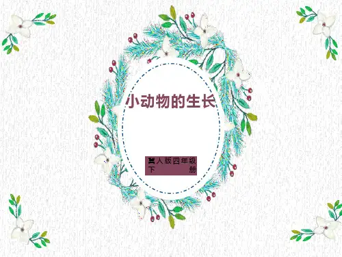 小动物的生长。ppt