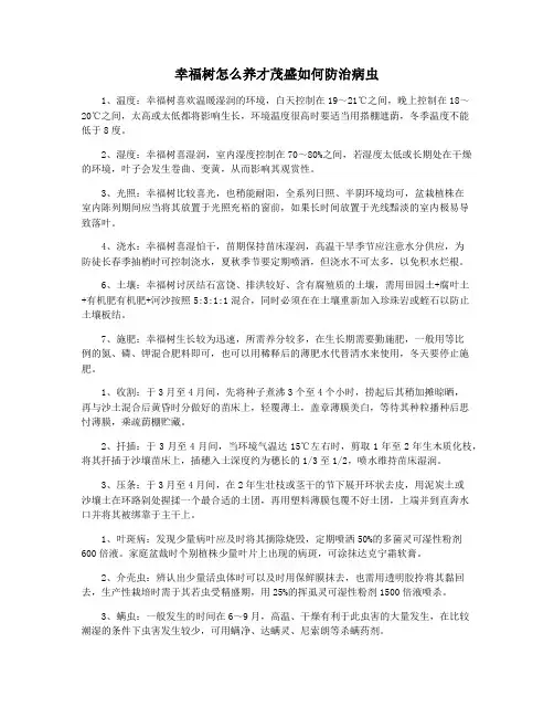 幸福树怎么养才茂盛如何防治病虫