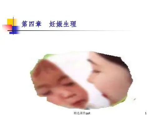【教学课件】第四章__妊娠生理