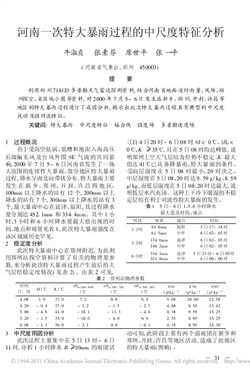 河南一次特大暴雨过程的中尺度特征分析