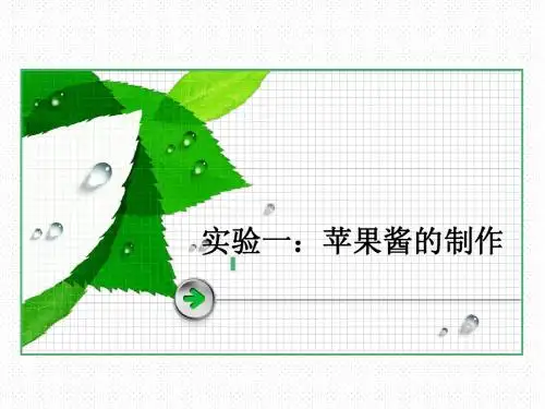 苹果酱的制作2