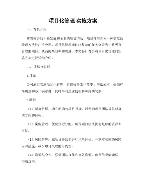项目化管理 实施方案