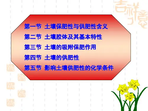 第六章土壤保肥性与供肥性