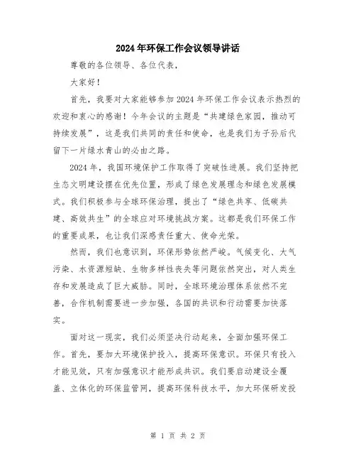 2024年环保工作会议领导讲话