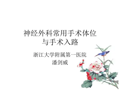 神经外科手术的体位与入路PPT参考幻灯片