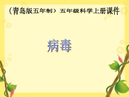 六年级科学上册病毒PPT课件3
