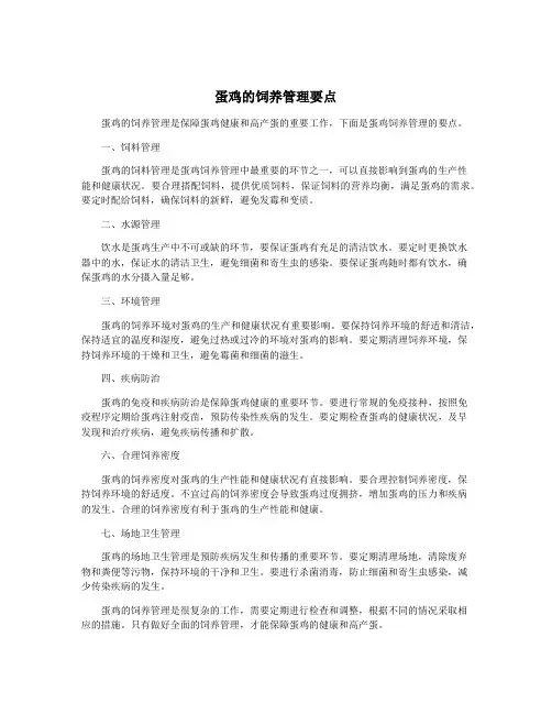 蛋鸡的饲养管理要点