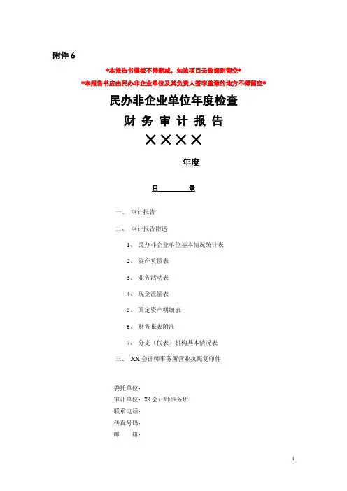 民办非企业单位审计报告模板(doc30页).doc