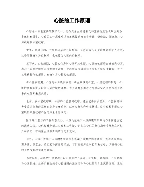 心脏的工作原理