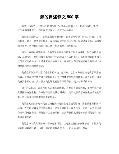 鲸的自述作文500字