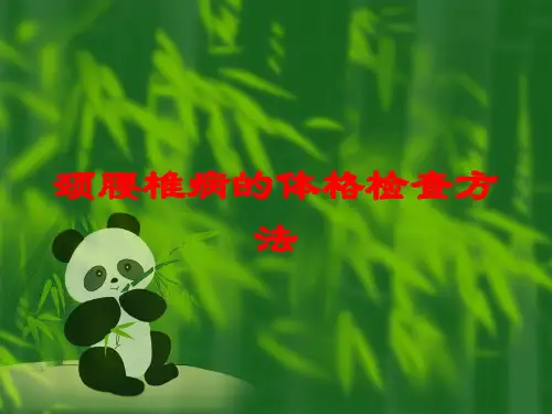 颈腰椎病的体格检查方法培训课件