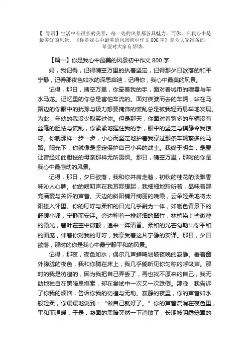 你是我心中最美的风景初中作文800字