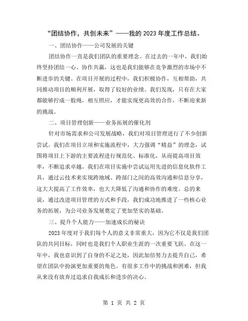 “团结协作,共创未来”——我的2023年度工作总结