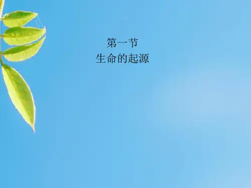 生命的起源PPT教学课件