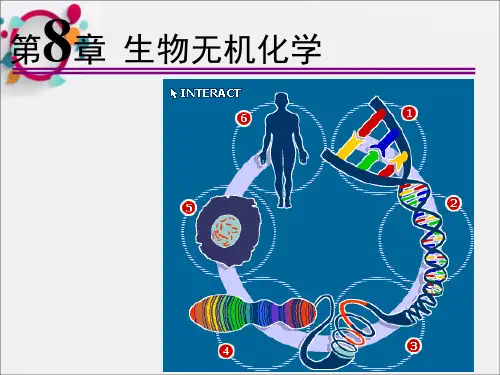 《高等无机化学》PPT课件 (2)