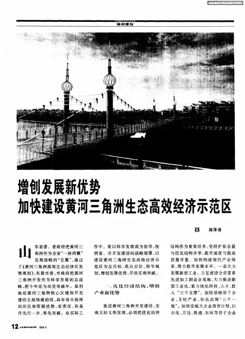 增创发展新优势加快建设黄河三角洲生态高效经济示范区