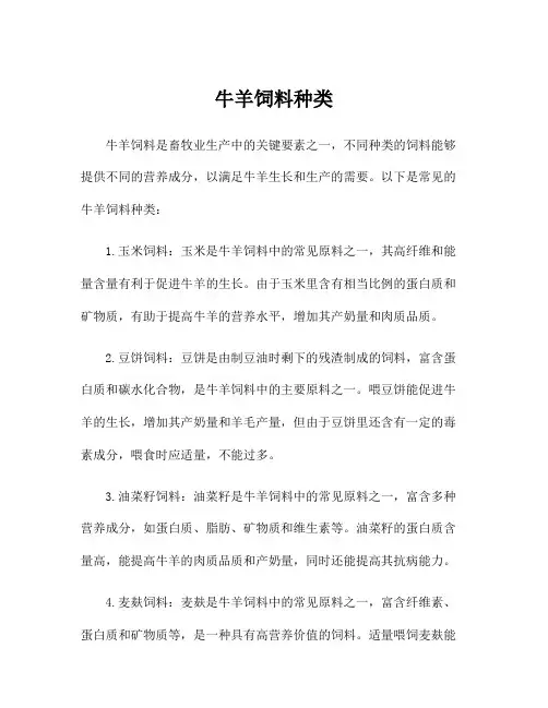 牛羊饲料种类