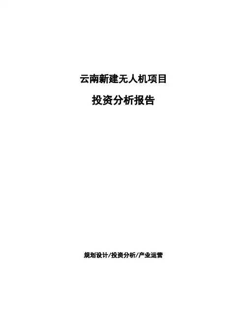 云南新建无人机项目投资分析报告