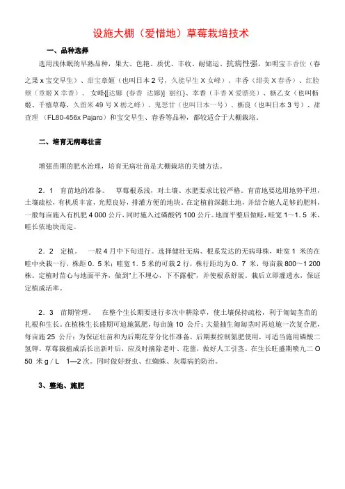 设施大棚(爱惜地)草莓栽培技术