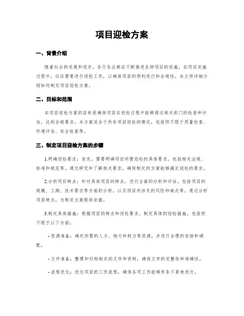 项目迎检方案