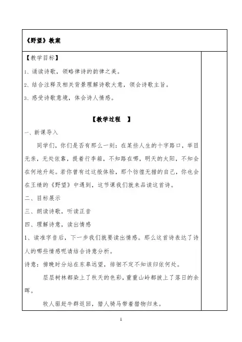 《野望》教案 【完整版】