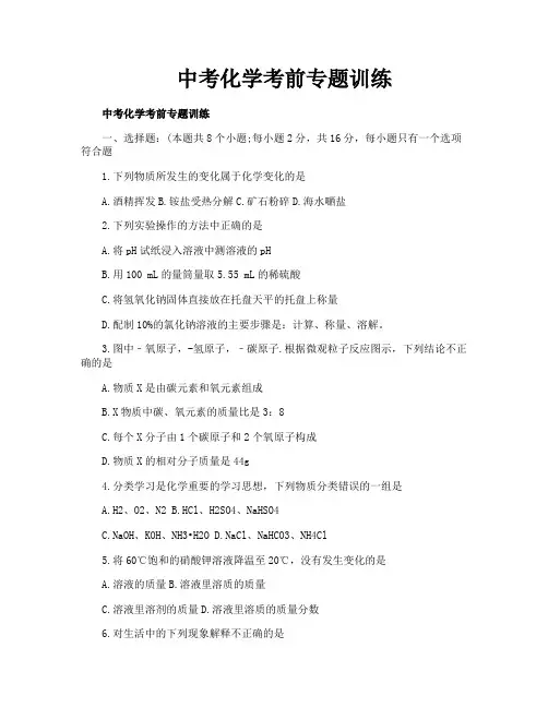 中考化学考前专题训练