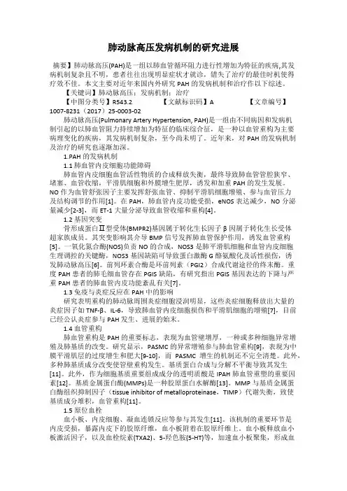 肺动脉高压发病机制的研究进展