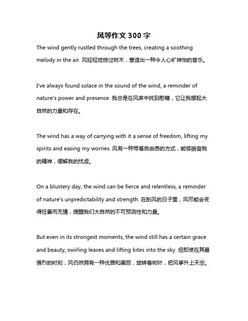 风等作文300字