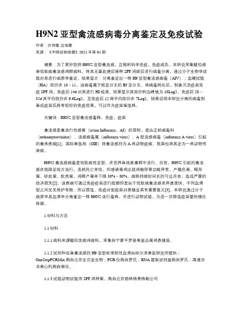 H9N2亚型禽流感病毒分离鉴定及免疫试验