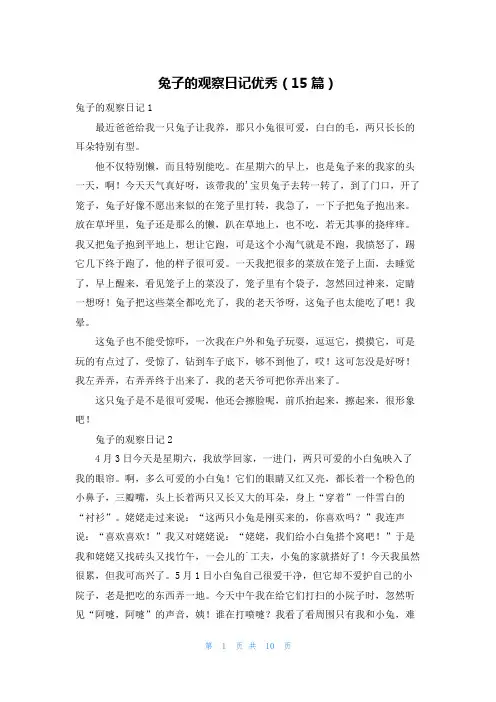 兔子的观察日记优秀(15篇)