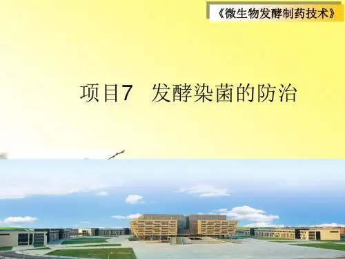7.发酵染菌的防治(020700).