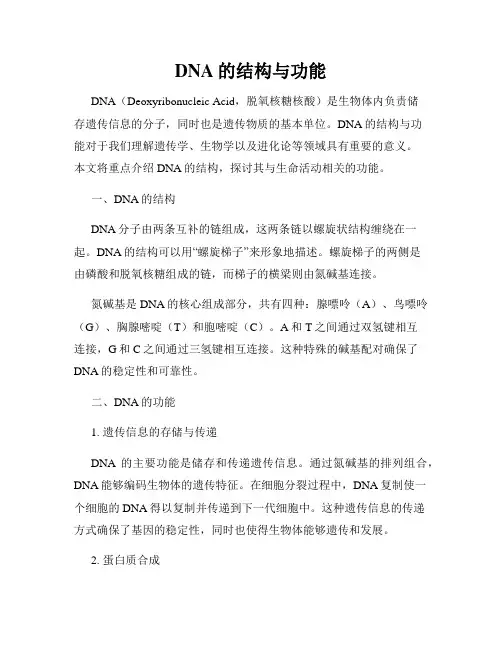 DNA的结构与功能