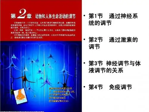 人教版教学课件人教版必修三高二第二章动物和人体生命活动的调节复习课件