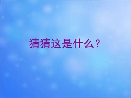 人美版美术四年级上册第9课猜猜我是谁(6)课件(17张PPT)