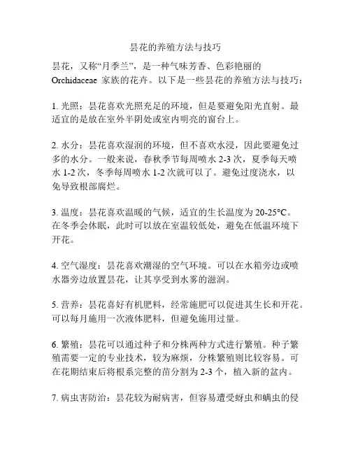 昙花的养殖方法与技巧