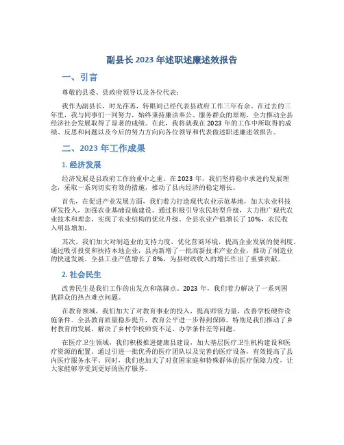 副县长2023年述职述廉述效报告 (2)