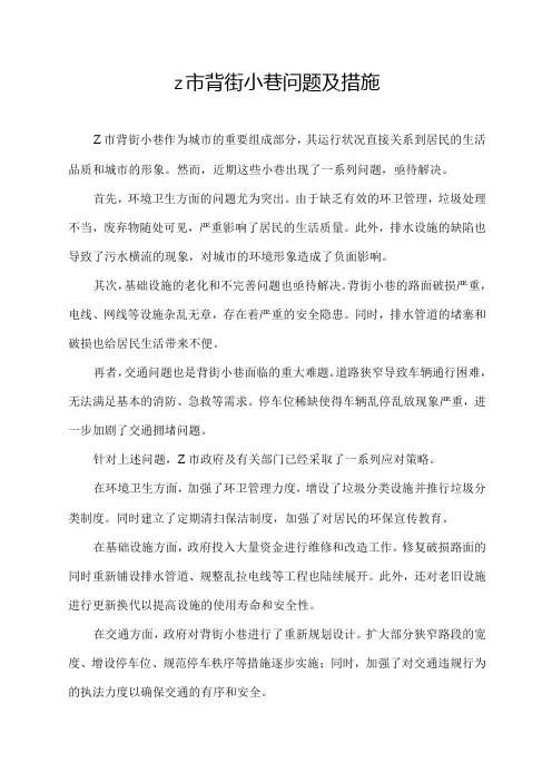 z市背街小巷问题及措施