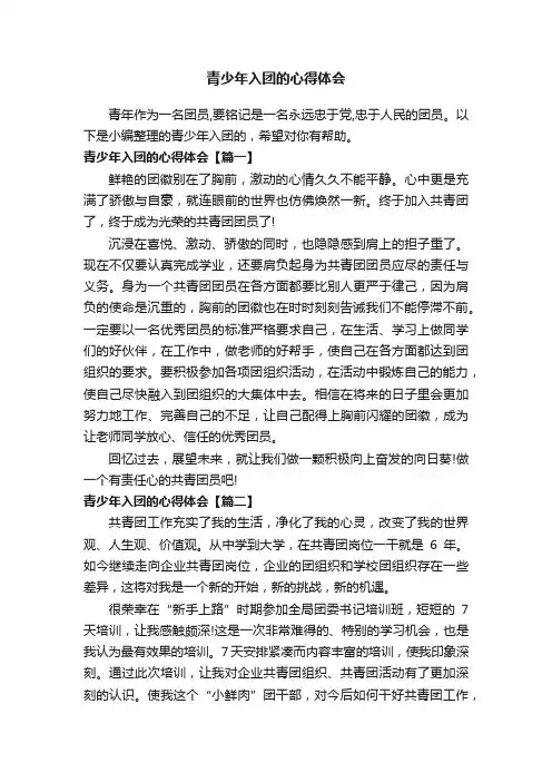 青少年入团的心得体会