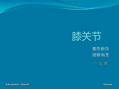 医学影像-膝关节囊性损伤和滑膜病变