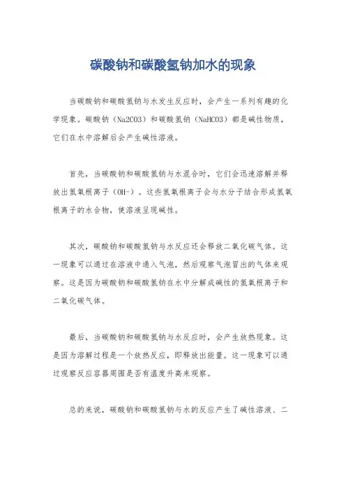 碳酸钠和碳酸氢钠加水的现象