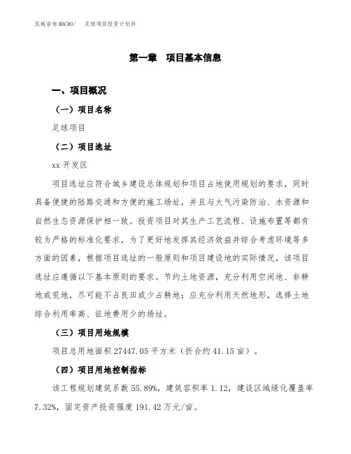 足球项目投资计划书-项目规划 (1)