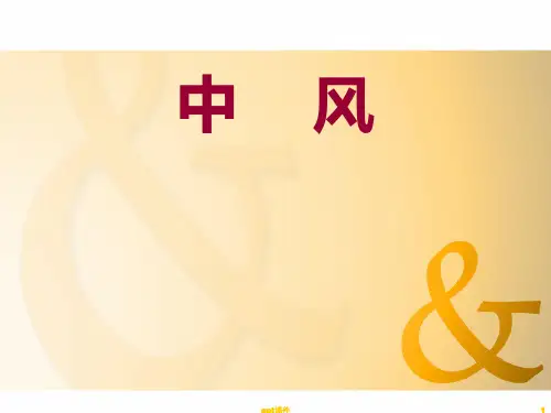 中风  ppt课件