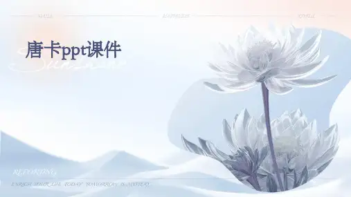 唐卡ppt课件